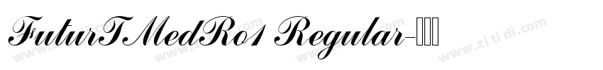 FuturTMedRo1 Regular字体转换 FuturTMedRo1 Regular字体转换